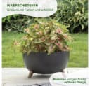 Heimwerkercenter Pflanzschale MePla - Schale Roma - wetterfestes Pflanzgefäß ø24cm - weiß Bild 5