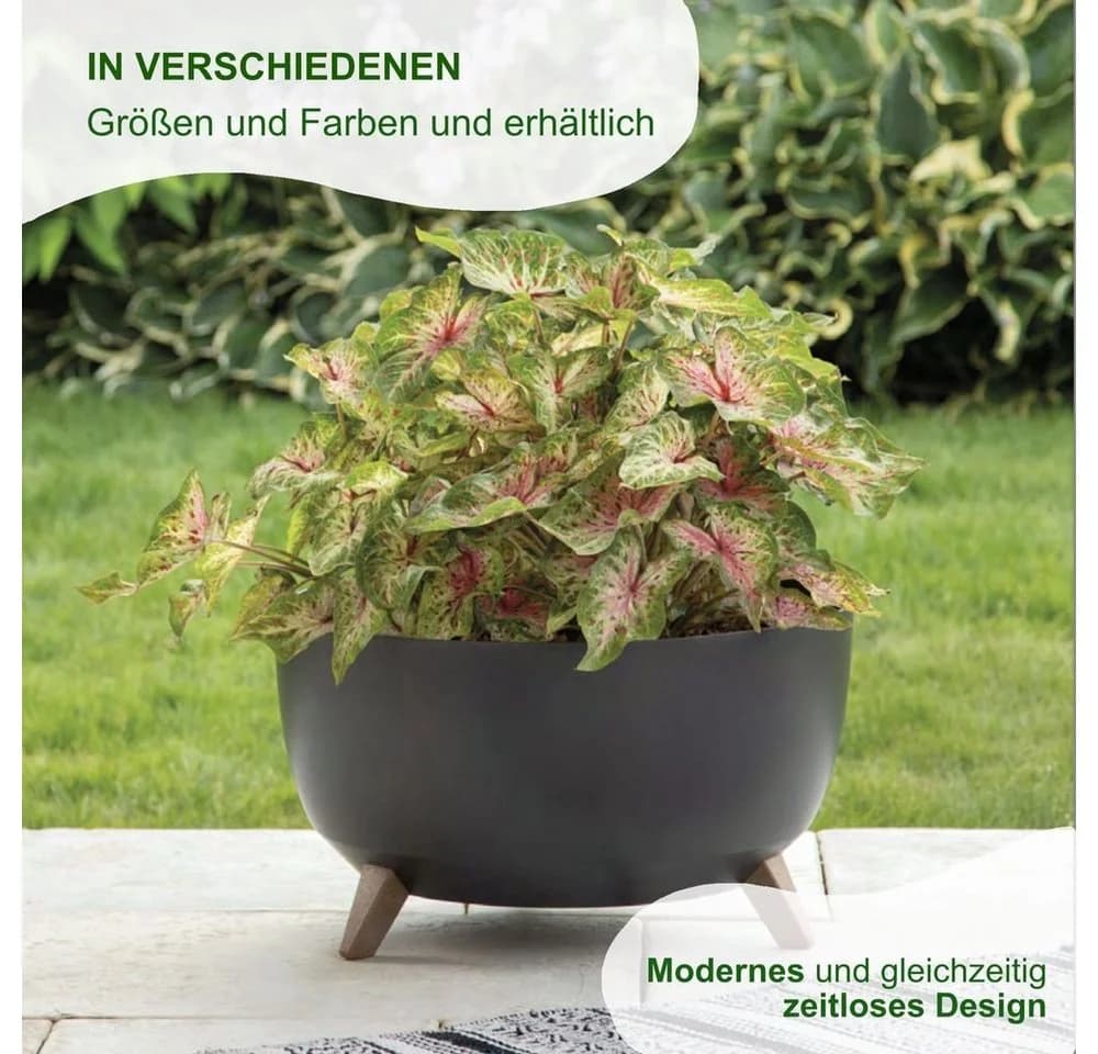 Heimwerkercenter Pflanzschale MePla - Schale Roma - wetterfestes Pflanzgefäß ø24cm - weiß - Bild 5