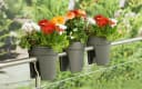 KHW Flowerclip Balkonkasten Set 3-tlg. Anthrazit Kunststoff Bild 2