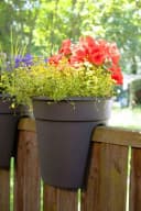 KHW Flowerclip Balkonkasten Set 3-tlg. Anthrazit Kunststoff Bild 5
