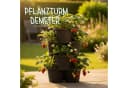 KHW Pflanzturm Demeter Anthrazit Pflanzkübel Vertikales Gärtnern Bild 3
