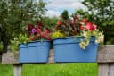 KHW Flowerclip XXL Balkonkasten Set 2-tlg. Meerblau Kunststoff Bild 2