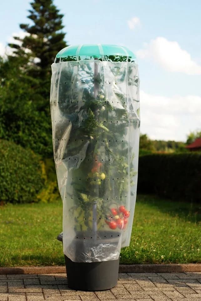 KHW Pflanzenschutzdach Tomatenhut inkl. Stab und Schutzfolie