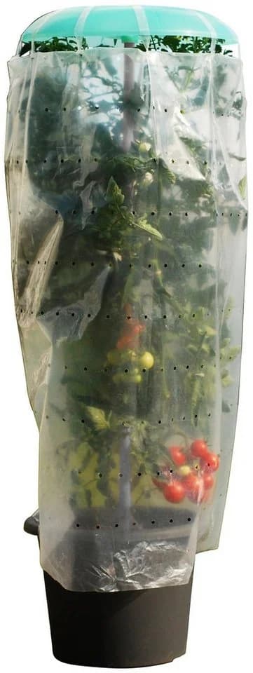 KHW Pflanzhilfe Tomatenhut 3er Set mit Schutzfolie - Bild 4