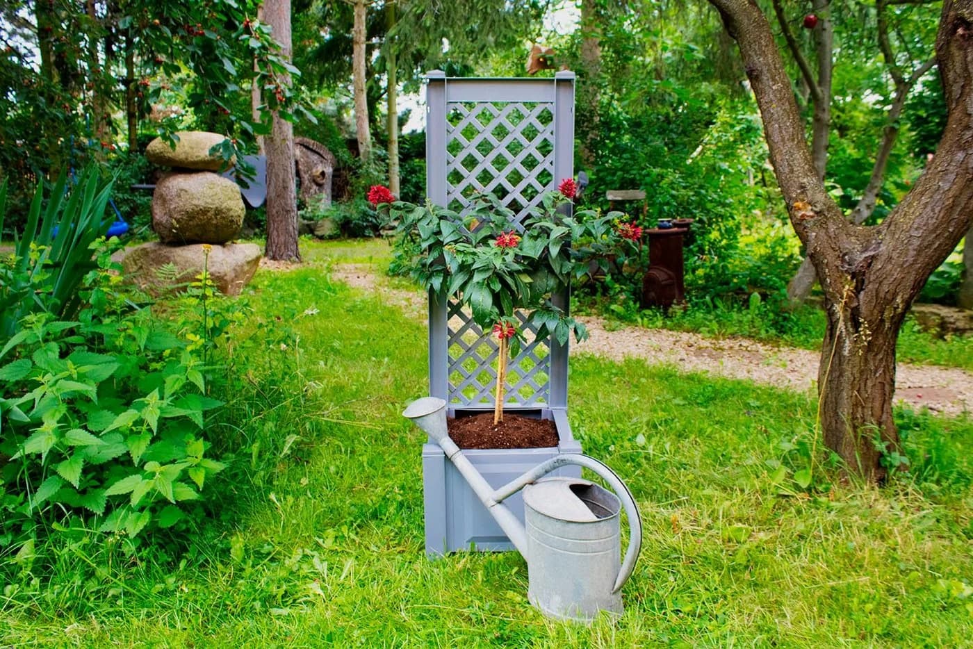 KHW Pflanzkasten mit Spalier Grau - Wetterfest - Bild 3