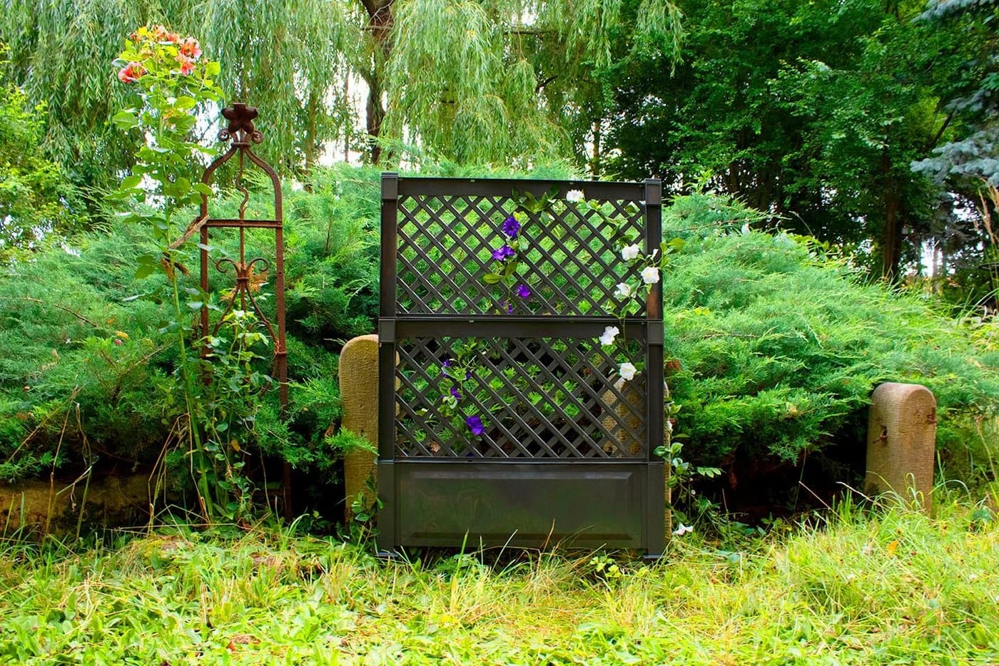 KHW Spalier Anthrazit 100x140 cm mit Erdspießen - Bild 2