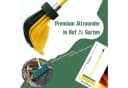 Fritze® Krallenbesen Hof & Garten Premium 45 cm mit Teleskopstiel Bild 1