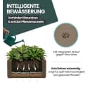 Kreher Blumenkasten XL Pflanzkasten strukturiert Bild 5