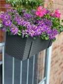 Kreher Balkonkasten BEGONIA Rattan Optik Anthrazit mit Stahlbügel Bild 5