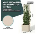 Kreher Spalier 'Ethica' Struktur Optik Beige 2 St. Bild 1