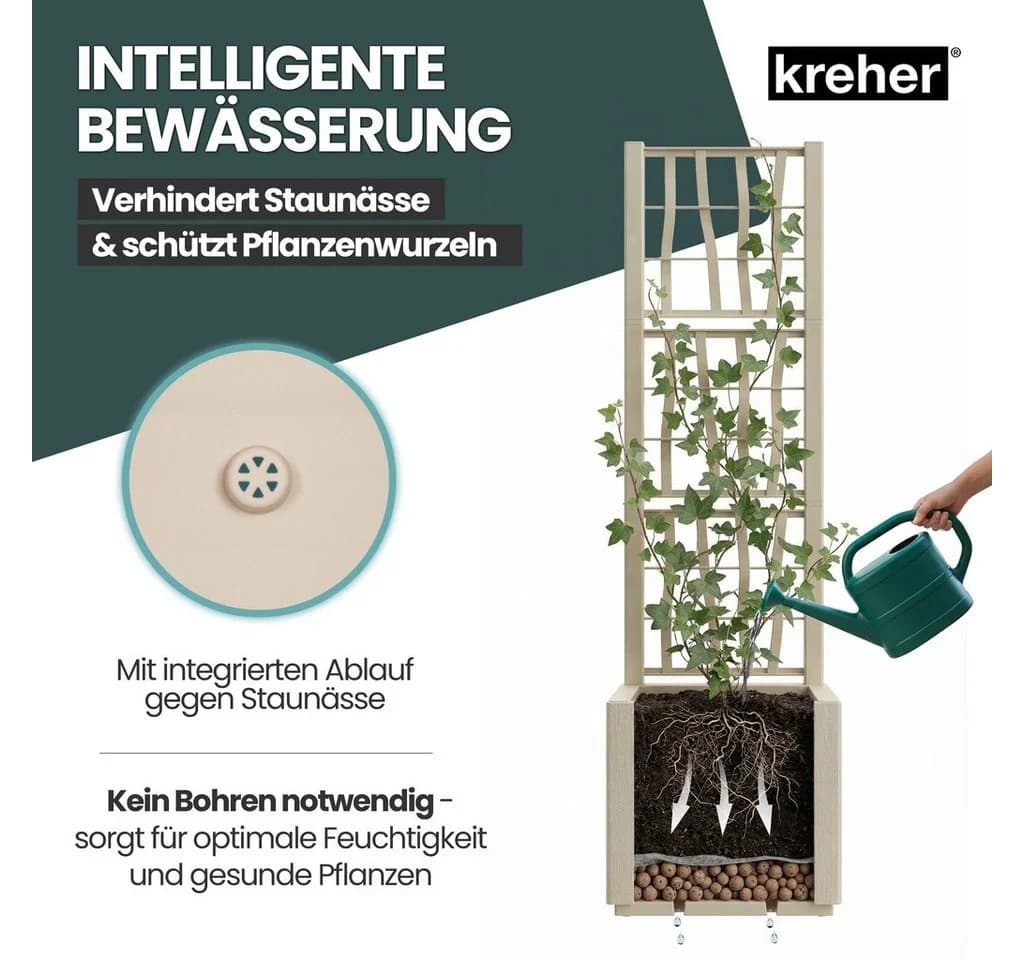 Kreher Spalier 'Ethica' Struktur Optik Beige 2 St. - Bild 5
