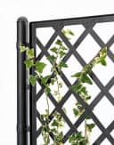 Kreher Spalier XL Holz Optik Anthrazit Breite mit Pflanzkasten Bild 1