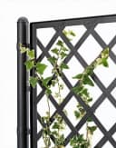 Kreher Spalier XL Rattan Optik Anthrazit Pflanzkasten Bild 4