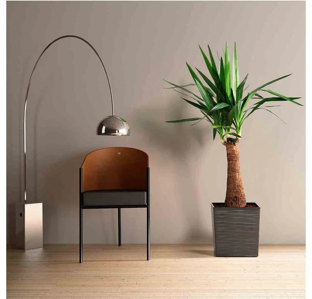 Siena Garden Pflanzkübel Eckig Graphit Rillenoptik Kunststoff