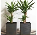 Siena Garden Pflanzkübel Eckig Graphit Rillenoptik Kunststoff Bild 5