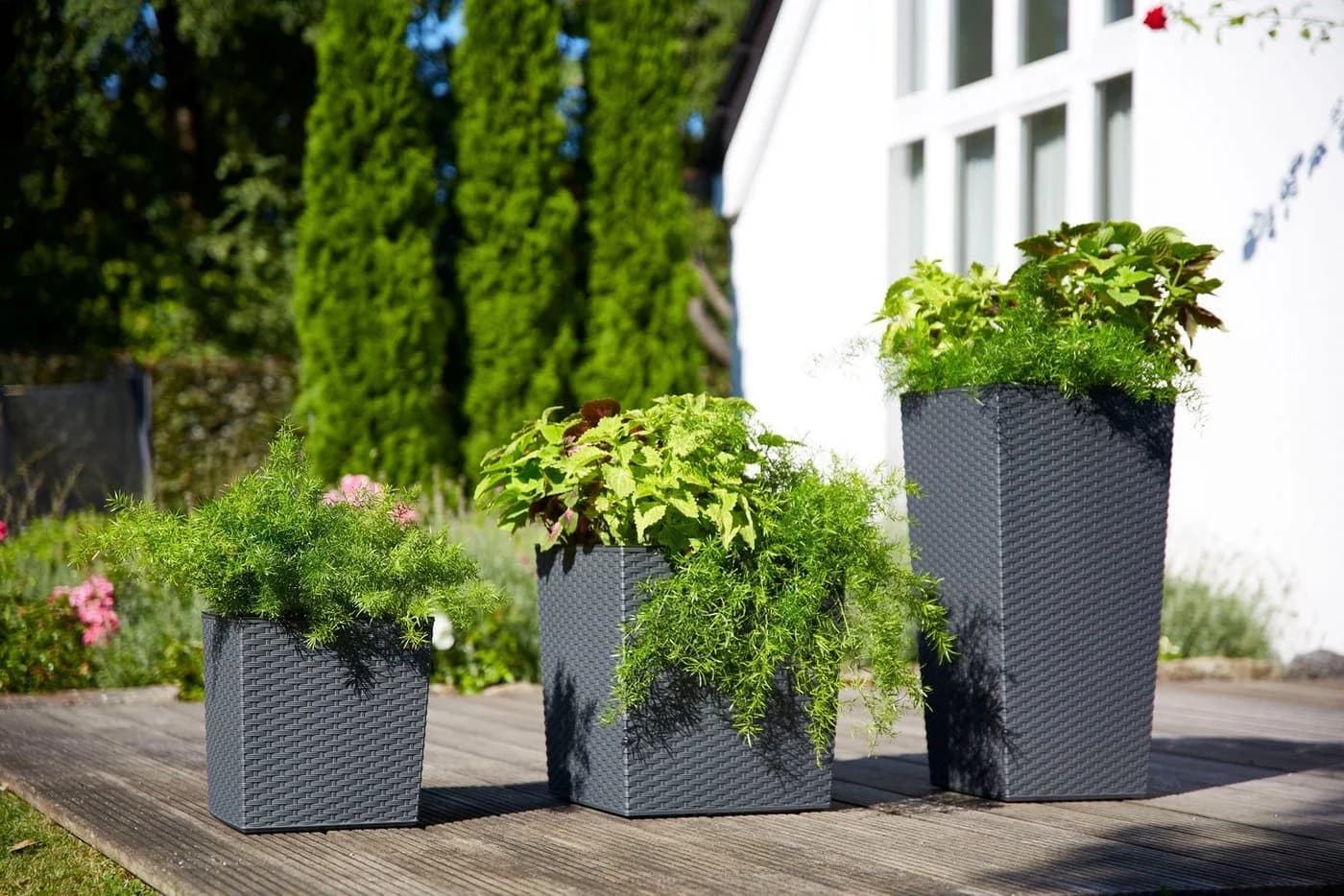 Siena Garden Pflanzkübel Eckig Graphit Rillenoptik