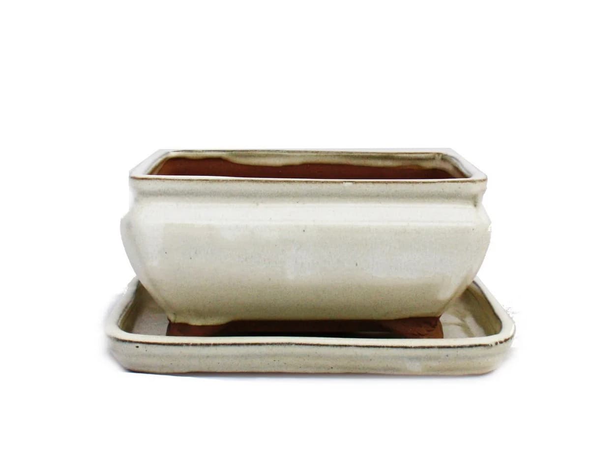 Exotenherz Bonsai-Schale Unterteller hellbeige eckig - Bild 2