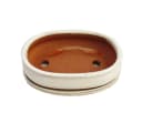 Exotenherz Bonsai-Schale Hellbeige Oval 19 cm Bild 1