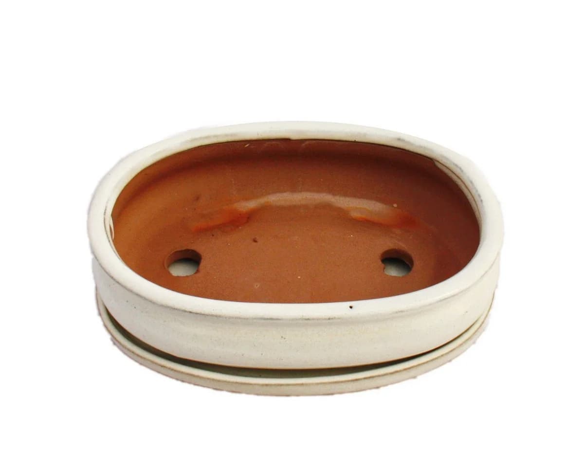 Exotenherz Bonsai-Schale Hellbeige Oval 19 cm