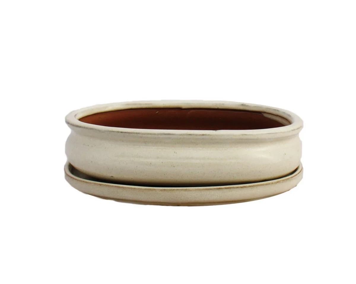 Exotenherz Bonsai-Schale Hellbeige Oval 19 cm - Bild 2