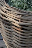 jankurtz Blumenkasten Palau Naturrattan Ø 57 cm mit Innentopf Bild 3