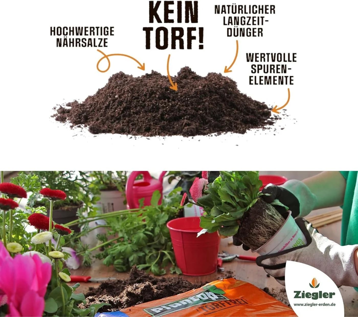 Plantop Pflanzerde torffrei 60 L