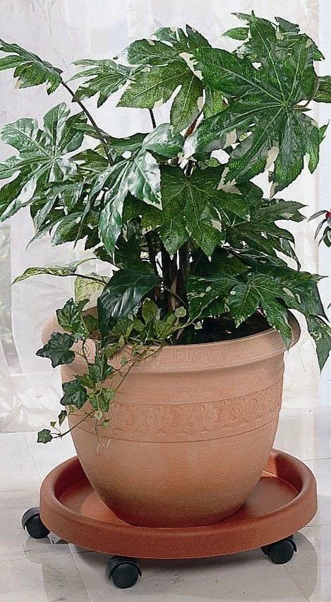RUCO Blumentopfuntersetzer Terrakotta 2er Set Kunststoff