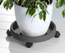 RUCO Blumentopfuntersetzer Grau 2er Set mit Rollen Bild 1