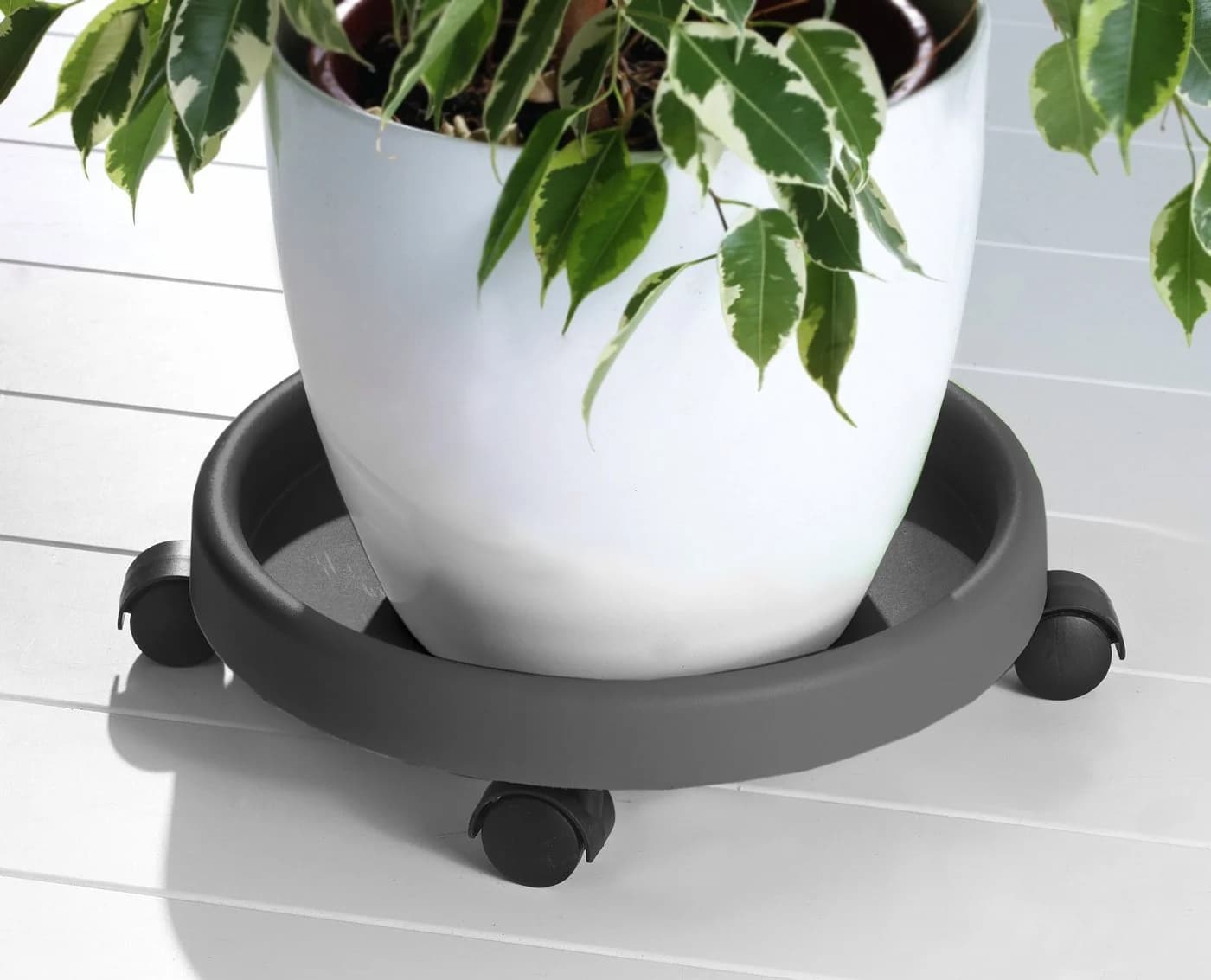 RUCO Blumentopfuntersetzer Grau 2er Set mit Rollen