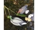 colourliving Schwimmenten-Familie 5er Set Bunt Kunststoff Bild 1