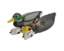 colourliving Schwimmenten-Familie 5er Set Bunt Kunststoff Bild 3