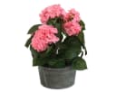 colourliving Zink Pflanztopf rund Old Green 24cm Bild 4