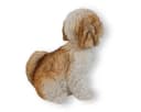 colourliving Shih Tzu Figur 22 cm Handbemalt Braun/Weiss Bild 4