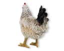 colourliving Deko Huhn Figur Weiß 35cm stehend Bild 3