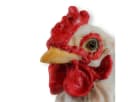 colourliving Deko Huhn Figur Weiß 35cm stehend Bild 5