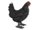 colourliving Gartendeko Huhn Figur Schwarz 35cm Bild 4