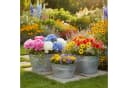 colourliving Blumentopf 3er Set Zinkwannen oval Silber Bild 1