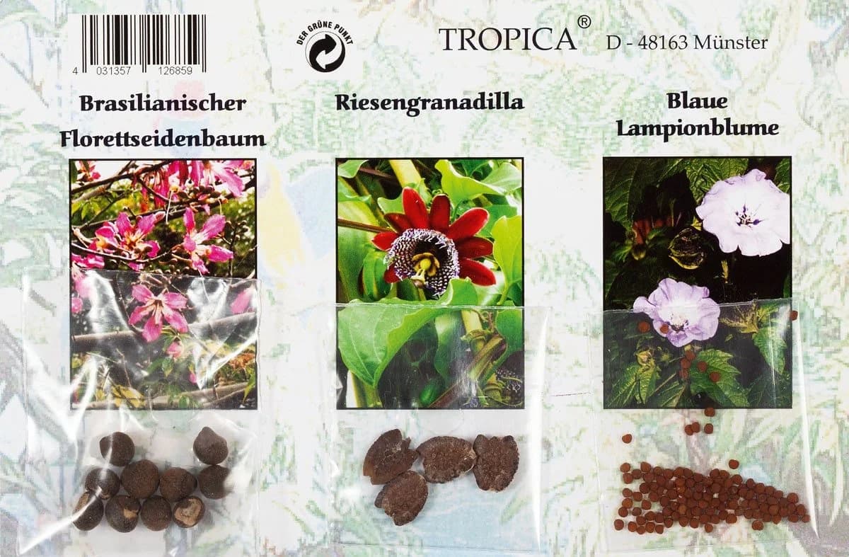 Mini-Gewächshaus Amazonas mit 3 Samensorten & Zubehör - Bild 4