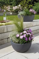 Scheurich Blumentopf 40/252 WAVE GLOBE BOWL Schwarz Bild 1