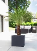 Scheurich Blumentopf 30/240 C-CUBE Schwarz Kunststoff Beton-Optik Bild 5