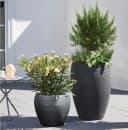 Scheurich Blumentopf 30/282 LINEO Schwarz Modern Bild 5