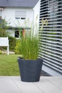 Scheurich Blumentopf CONEO 30 Schwarz Kunststoff Bild 1
