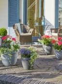 Scheurich Blumentopf COUNTRY STAR 48 Granitgrau mit Wasserreservoir Bild 1