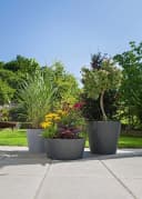 Scheurich Blumentopf 40/239 C-CONE BOWL Schwarz Kunststoff Beton-Optik Bild 2