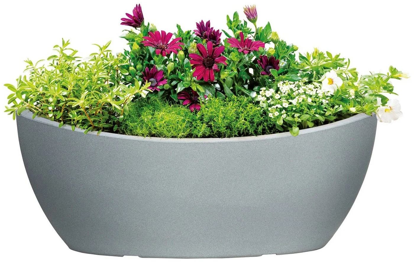 Scheurich Jardiniere 58/253 WA.GLOBE Grau Kunststoff - Bild 3