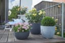 Scheurich BARCEO Blumentopf Grau Kunststoff Bild 1