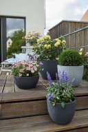 Scheurich BARCEO Blumentopf Grau Kunststoff Bild 4