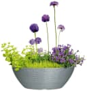 Scheurich BARCEO BOWL Blumentopf Grau Kunststoff Bild 1