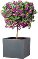 Scheurich Blumentopf ALEA UET Schwarz Kunststoff Beton-Optik Bild 1
