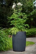 Scheurich Blumentopf Linetto High Schwarz Kunststoff Zylinder Bild 1
